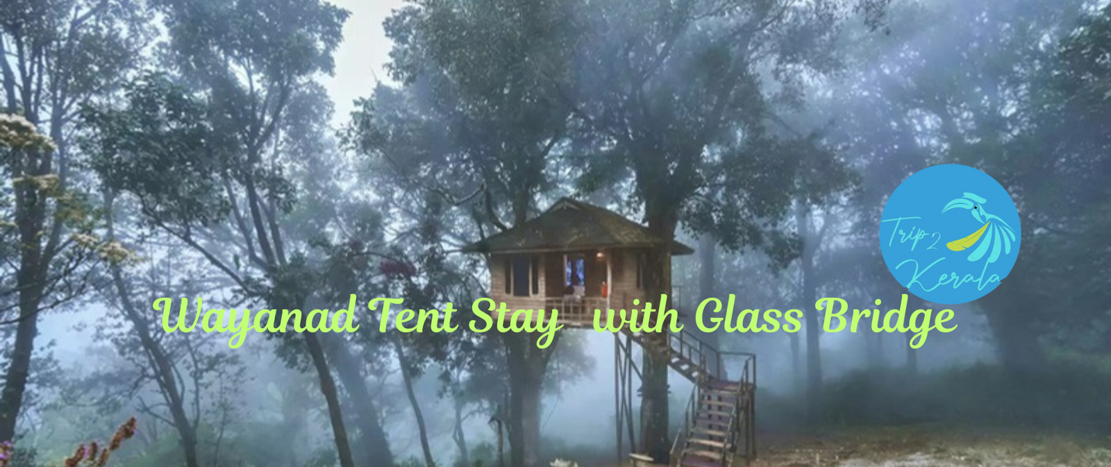 Wayanad Tour
